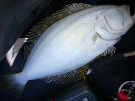 真昼間から釣り友とヒラメコラボｗ